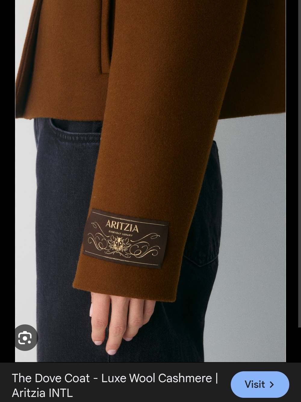 Aritzia The Dove Coat - Picture 3 of 10